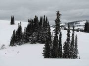 Snowy Slopes. Photo by Dave Bell.