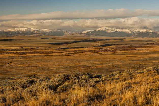 Cottonwood Valley. Photo by Dave Bell.