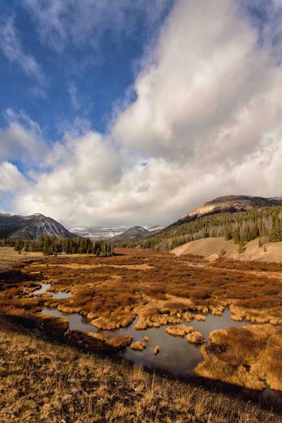 South Cottonwood. Photo by Dave Bell.