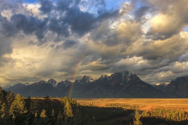 Rainbow. Photo by Dave Bell.