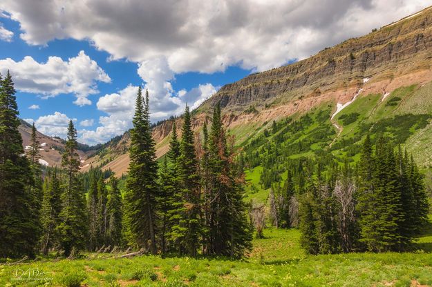 South Cottonwood Cliffs. Photo by Dave Bell.