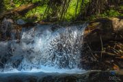 Beautiful Waterfall. Photo by Dave Bell.