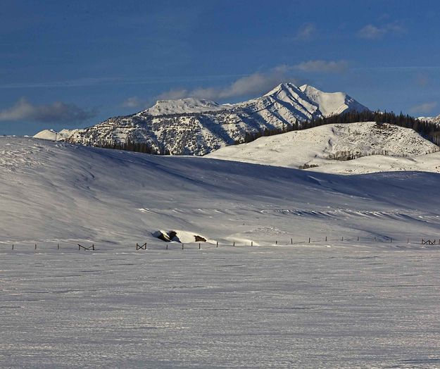 Untracked. Photo by Dave Bell.