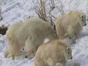 Mom And Kids. Photo by Dave Bell.