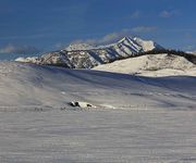 Untracked. Photo by Dave Bell.