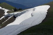 Alpine Scenery. Photo by Dave Bell.