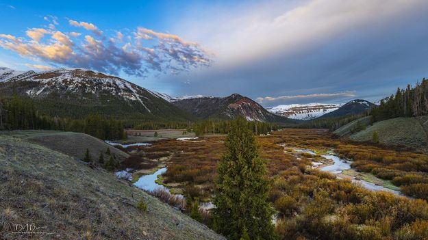 Morning View. Photo by Dave Bell.