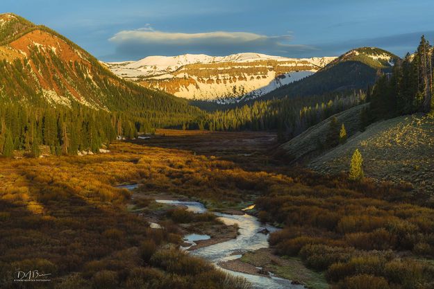 Sunlight Floods The Valley. Photo by Dave Bell.