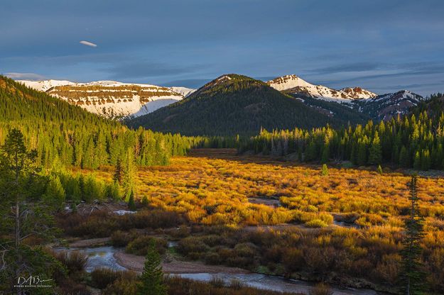 Morning Light Intensity. Photo by Dave Bell.