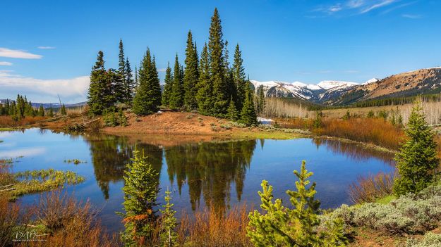 Wyoming Range Beauty. Photo by Dave Bell.