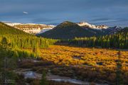 Morning Light Intensity. Photo by Dave Bell.