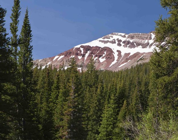 Glimpse Into The High Country. Photo by Dave Bell.