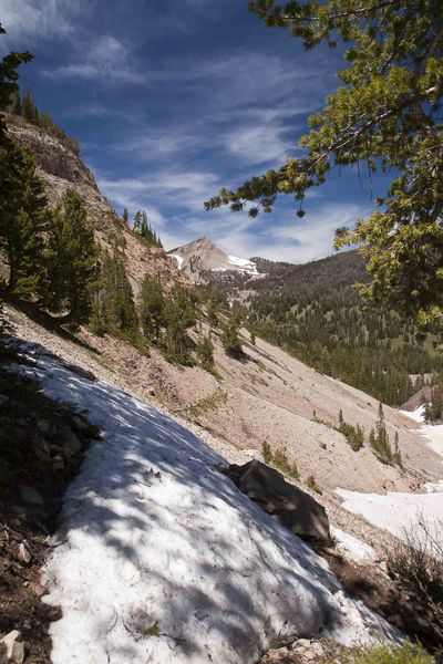 Scenic Cottonwood. Photo by Dave Bell.