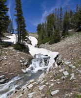 High Mountain Stream. Photo by Dave Bell.