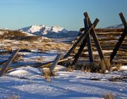 Brokedown Snowfence. Photo by Dave Bell.