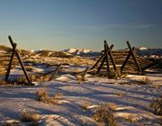 Snowfence At Sunrise. Photo by Dave Bell.