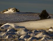 Limestone Outcropping. Photo by Dave Bell.