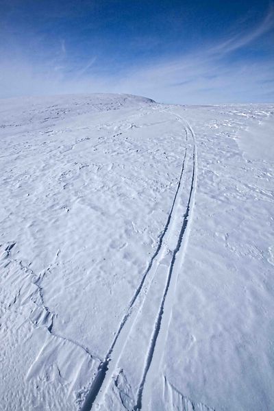 Lone SkiTrack. Photo by Dave Bell.