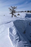 Cornices. Photo by Dave Bell.