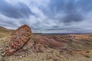 Prehistoric Crashed Flying Saucer. Photo by Dave Bell.