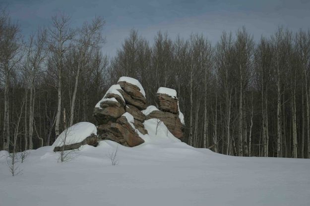 Rock Outcropping. Photo by Dave Bell.