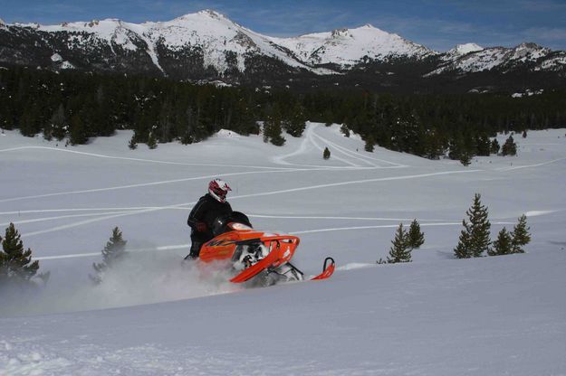 Open Meadow Riding. Photo by Dave Bell.