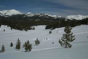 Tracked Meadow. Photo by Dave Bell.