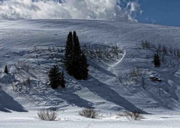 Snow Patterns. Photo by Dave Bell.