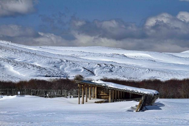 Calving Shed. Photo by Dave Bell.