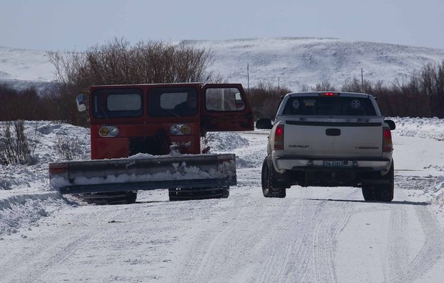 Neighbors Catching Up. Photo by Dave Bell.