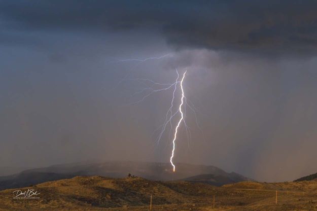 . Photo by Dave Bell.