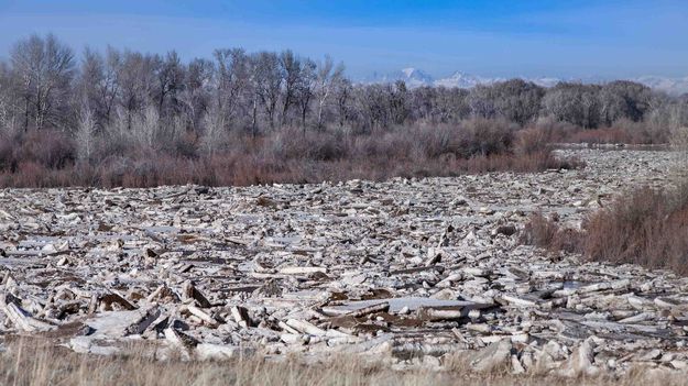 Green River Ice Dam At LaBarge. Photo by Dave Bell.