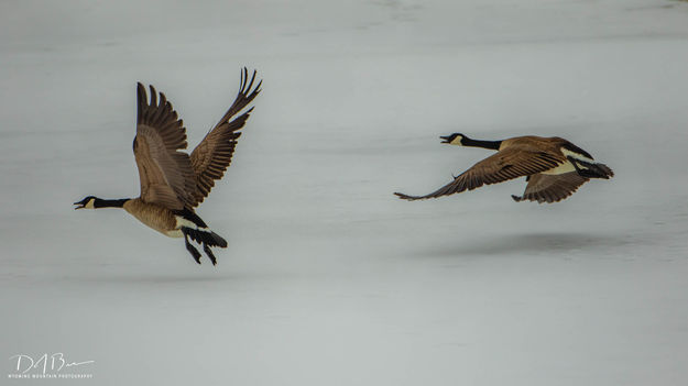 Launch. Photo by Dave Bell.