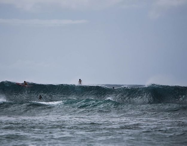 Ridin' The Wave. Photo by Dave Bell.