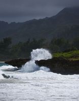 Crashing Surf. Photo by Dave Bell.