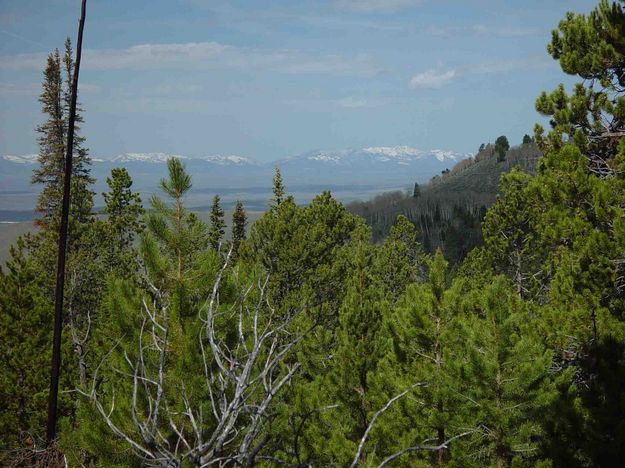 Distant Views Of Wyoming Range. Photo by Dave Bell.