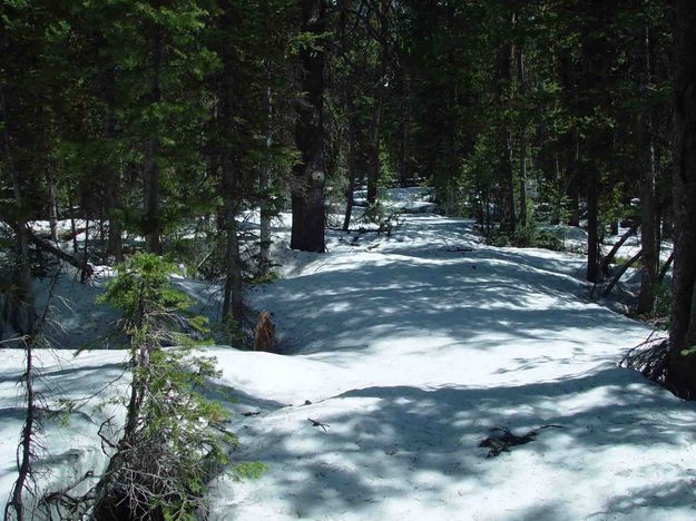 End Of Trail--9400 Feet. Photo by Dave Bell.