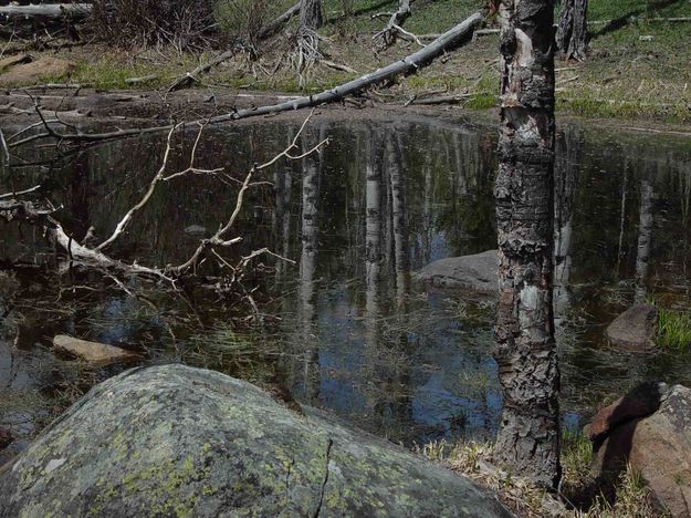 Reflection In Small Tarn. Photo by Dave Bell.