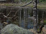 Reflection In Small Tarn. Photo by Dave Bell.