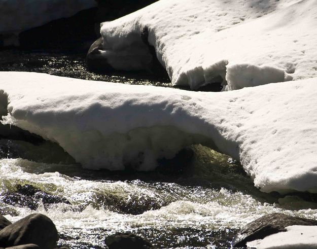 Boulder Creek Snow Bridge. Photo by Dave Bell.