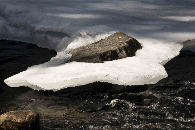 Ice Bound. Photo by Dave Bell.