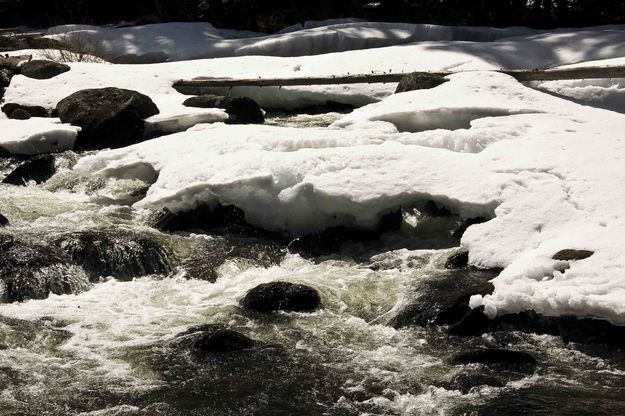 Snow Bound Creek. Photo by Dave Bell.