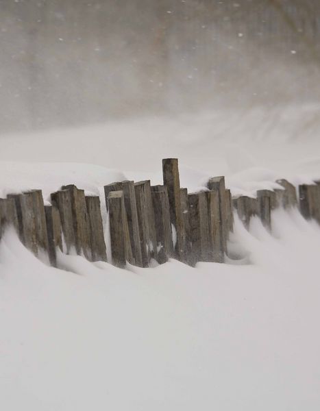 Snowy Fenceline At The Cross Lazy Two. Photo by Dave Bell.