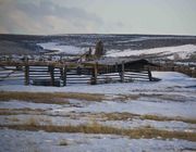 Snow Clogged Corrals. Photo by Dave Bell.