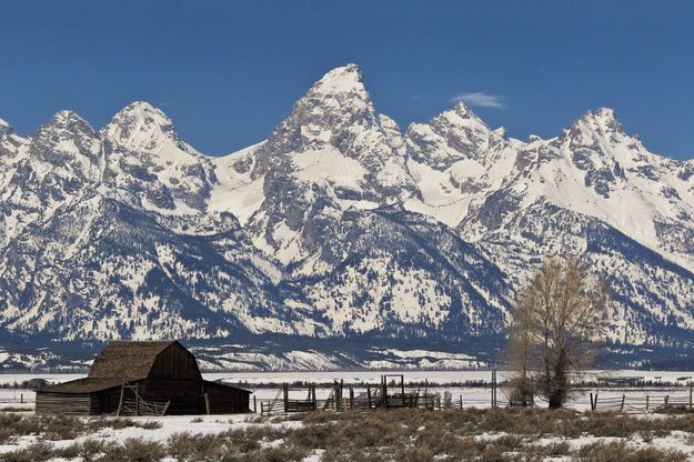 Spring Barns. Photo by Dave Bell.