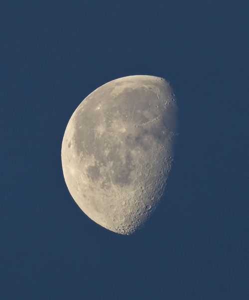 Easter Moon. Photo by Dave Bell.