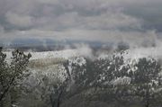 Fog Hanging On Fremont Ridge. Photo by Dave Bell.