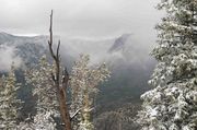 Up PIne Creek Canyon. Photo by Dave Bell.