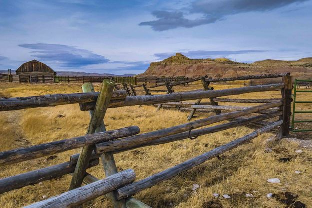 Corral Fencing. Photo by Dave Bell.