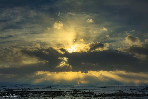 Beautiful Rays. Photo by Dave Bell.